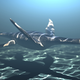 Illustration for article titled These Ancient Marine Reptiles Swam Through the Water Like Penguins